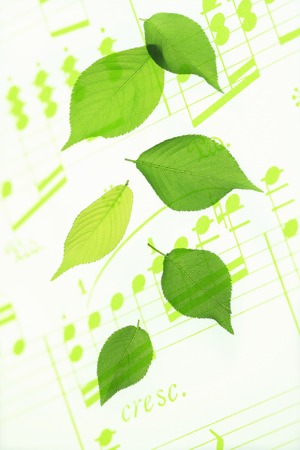 Sheet music and fresh greenの写真素材