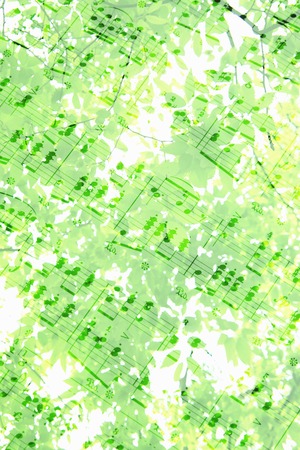 Sheet music and fresh greenの写真素材