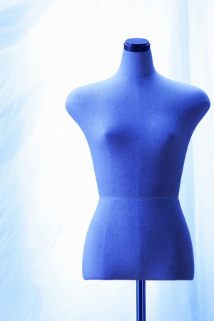 Torsoの写真素材