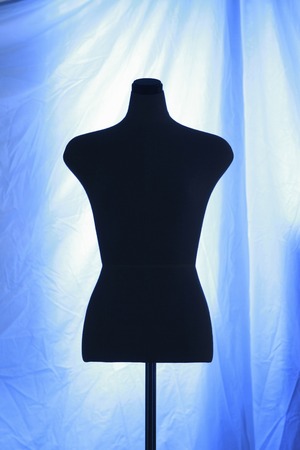 Torsoの写真素材