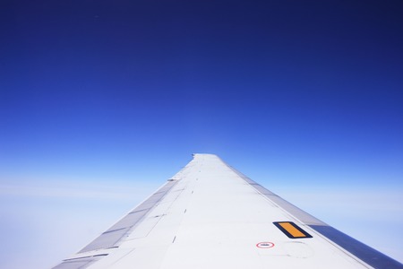 Wings