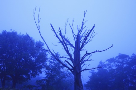 Shiretoko five lakesの写真素材