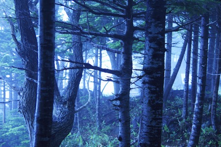 Shiretoko five lakesの写真素材