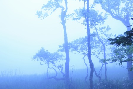 Shiretoko five lakesの写真素材