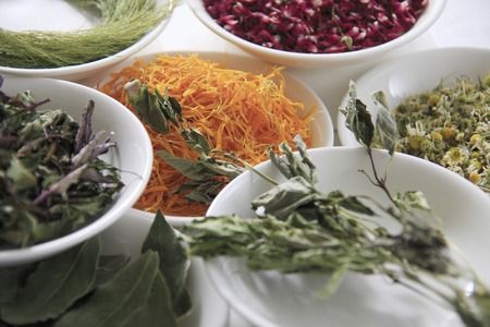 Various herbsの写真素材