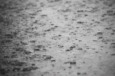 Face in the rainの写真素材