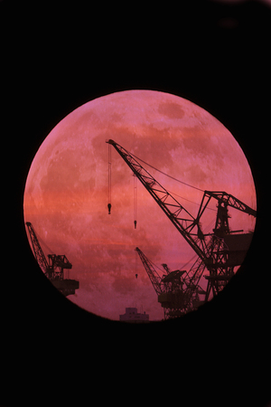 Moon and Craneの写真素材