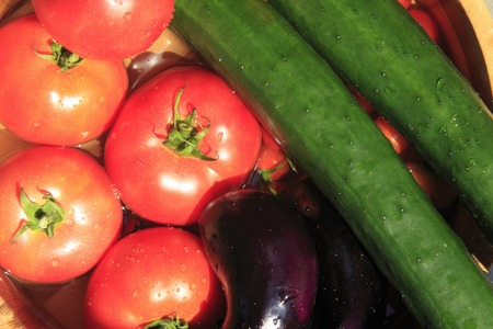 Natsuno vegetablesの写真素材