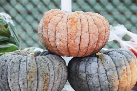 Pumpkinの写真素材