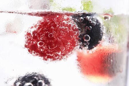 Flower powers roseの写真素材