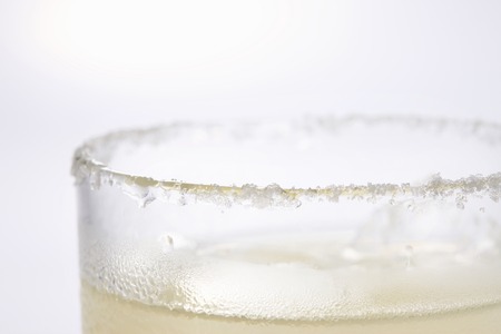 Salty dogの写真素材