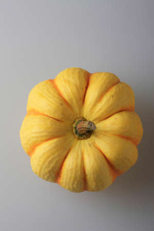 Chestnut pumpkinの写真素材