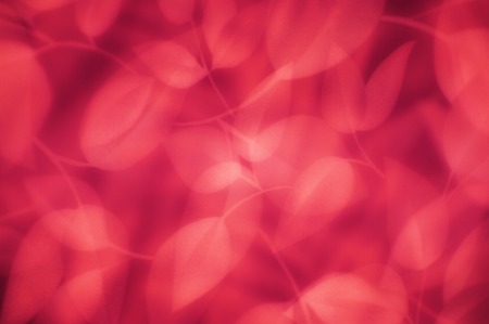 Texture of leaves patternの写真素材