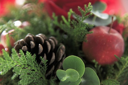 Apples and pineconeの写真素材