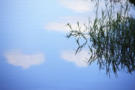 Blue sky reflected in Kamogawaの写真素材