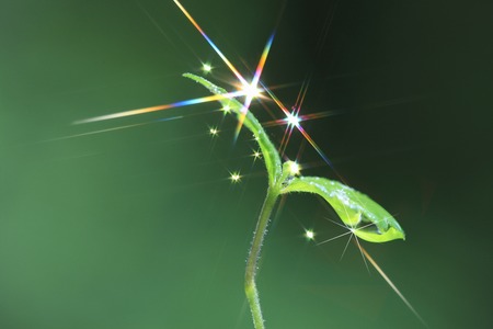 Futabaの写真素材