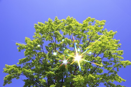 Blue skies and green