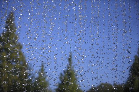 Drop of water and treesの写真素材