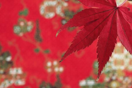 Maples