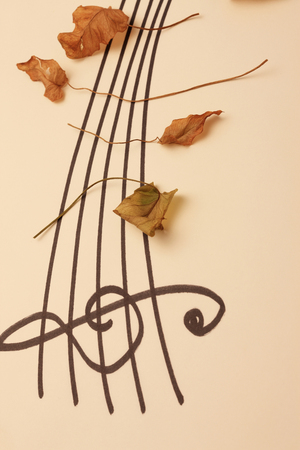 Dead leaves of musicの写真素材