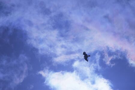 Blue Skyの写真素材