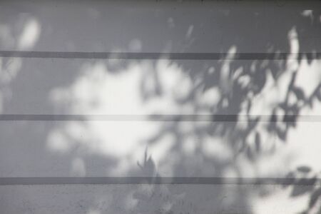 Wall