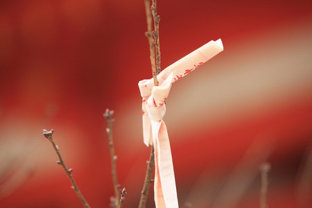 Fortuneの写真素材