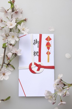 Congratulatory giftsの写真素材