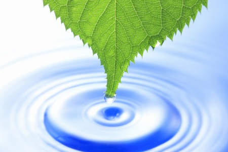 Leaves and stirの写真素材