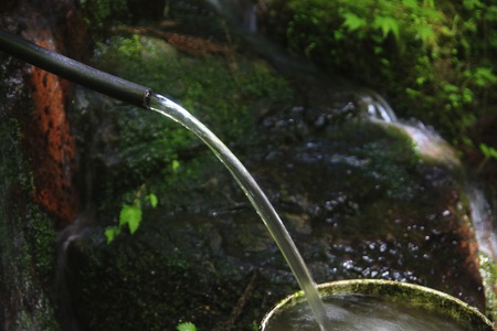 Water hoseの写真素材