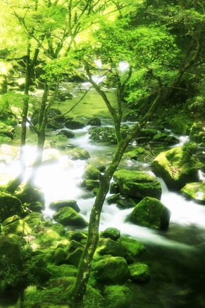 Akame 48 falls ravineの写真素材