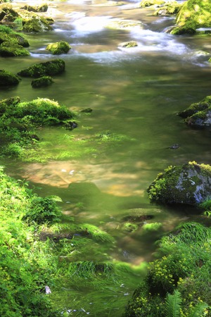 Akame 48 falls ravine