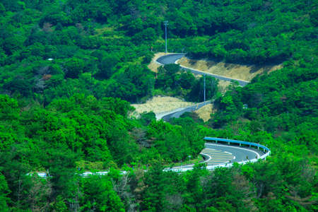 Pearlの写真素材