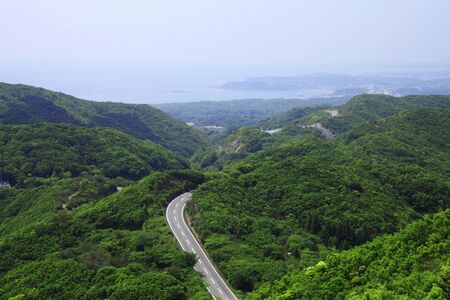 Pearlの写真素材