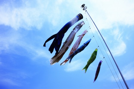 Carp streamerの写真素材