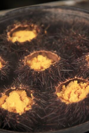 Grilled sea urchinの写真素材