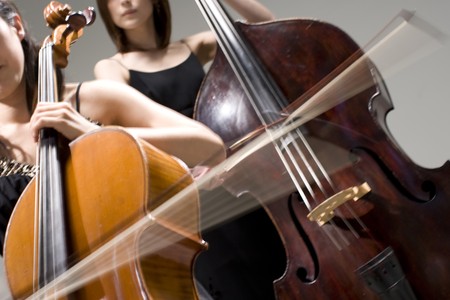 Cello and contrabassの写真素材