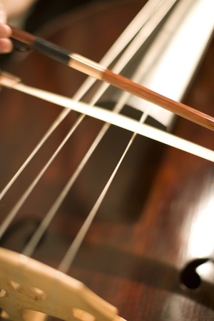 Contrabass