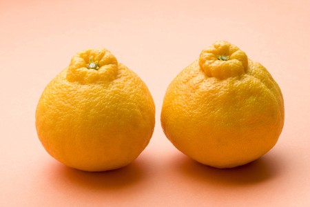 Dekopon Orangeの写真素材