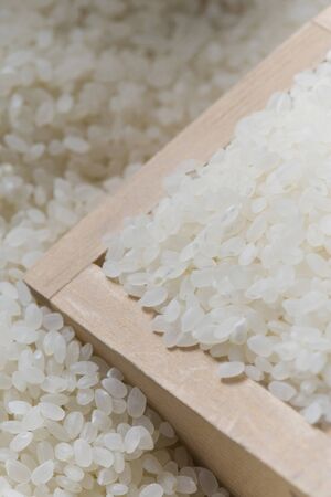 Riceの写真素材