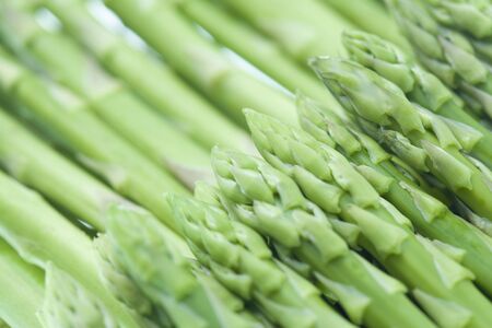 Asparagusの写真素材