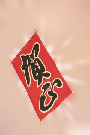 The kite which floats on the pink background.