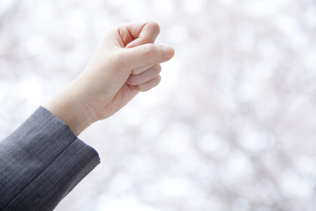 Hand of business woman to the guts pose under the cherry treeの写真素材
