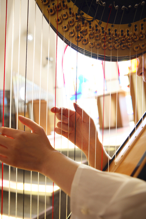 Hand of woman playing the harp