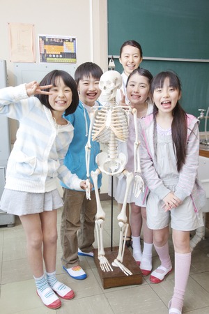 Elementary school students men and women and women teachers play in skeletal modelの写真素材