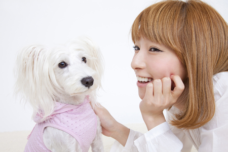 Women smile Kawaigaru Miniature Schnauzerの写真素材