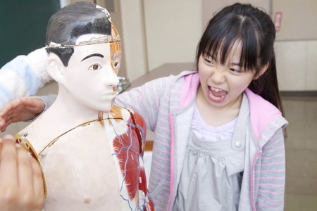 Two elementary school girls play in the human body modelの写真素材