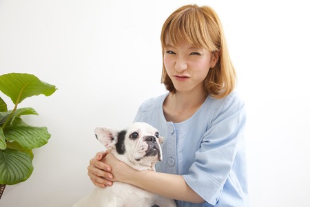 Female French Bulldog with a smileの写真素材