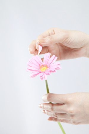 Hand to the flower divinationの写真素材