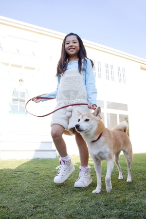 Girl to walk with Shiba Inuの写真素材